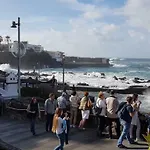 Vista Rosmary