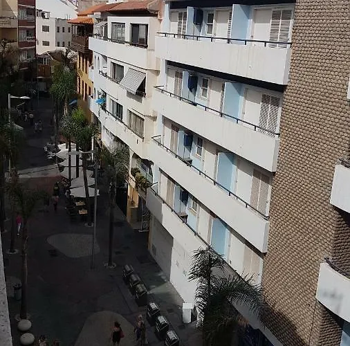 Vista Rosmary