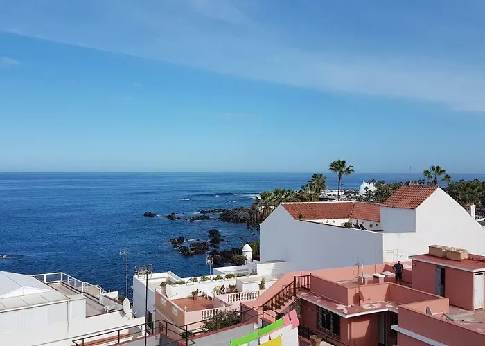 Vista Rosmary *