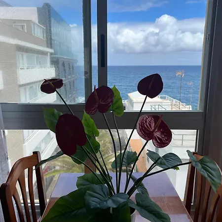 Vista Rosmary Apartmán *