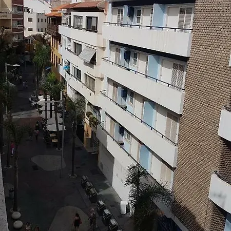 Vista Rosmary